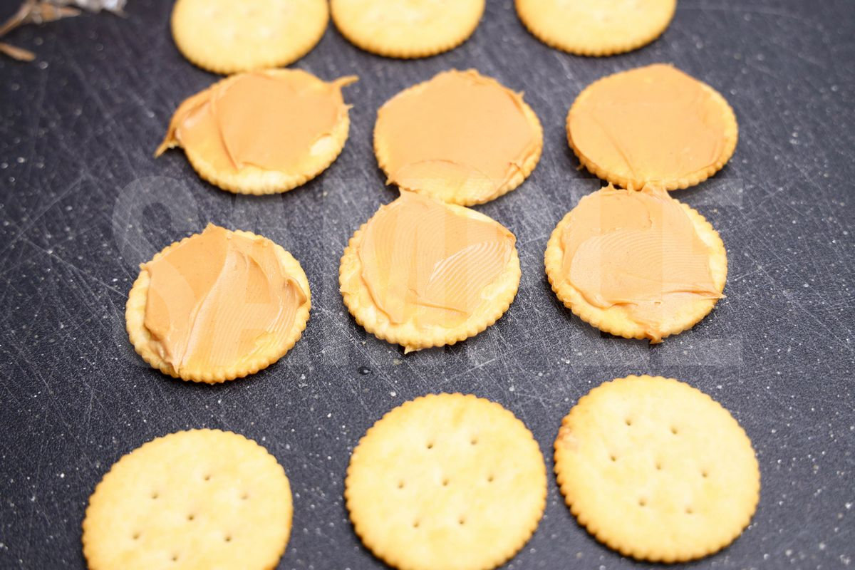 Spider Pretzels - Set 1 - Image 8