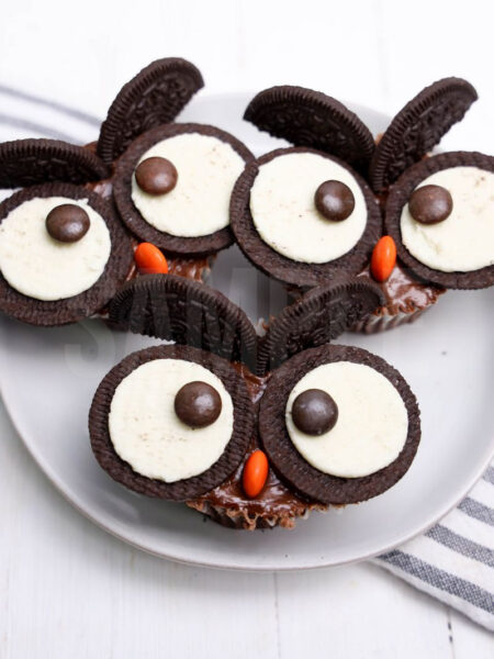 Owl Cupcakes - Set 3