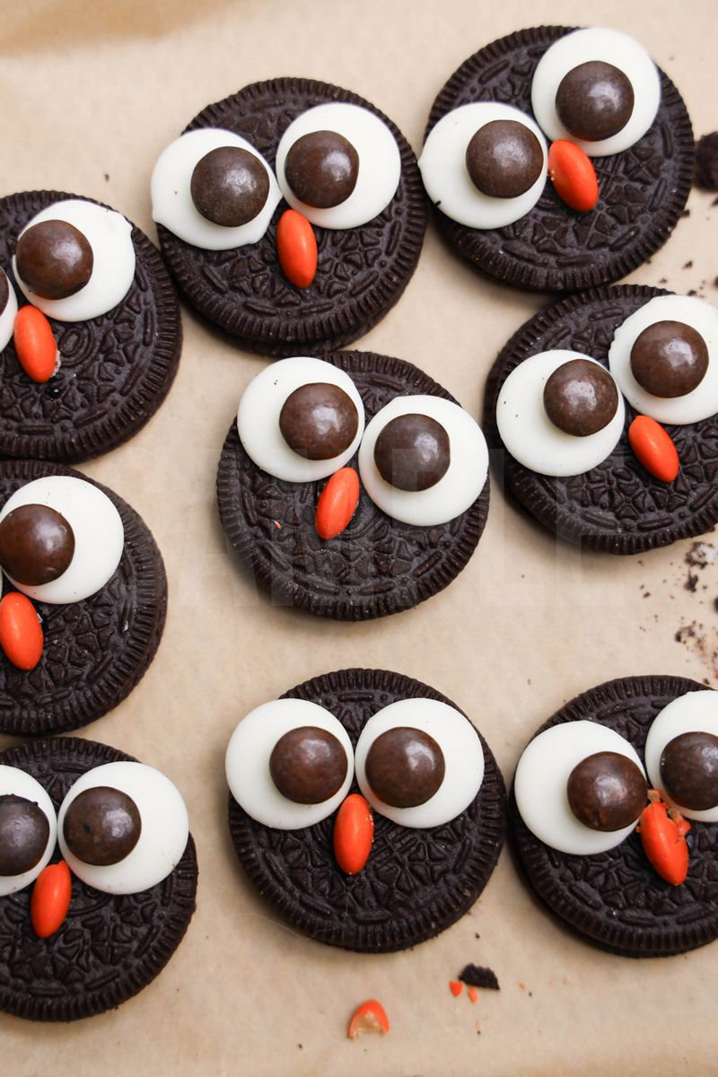 Owl Oreos - Set 2 - Image 5