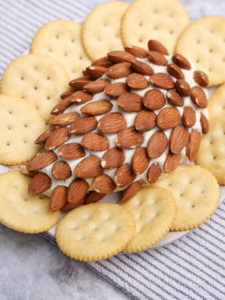 Pine Cone Cheese Ball - Set 1
