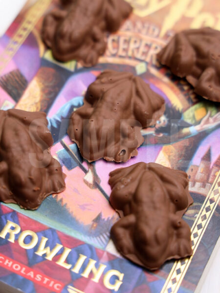 Harry Potter Chocolate Frogs - Set 1