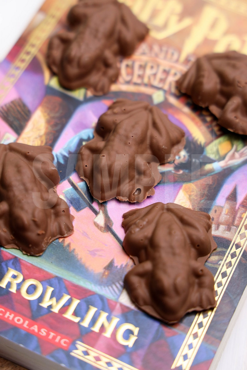 Harry Potter Chocolate Frogs - Set 1