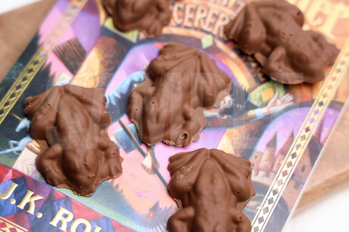 Harry Potter Chocolate Frogs - Set 1 - Image 2