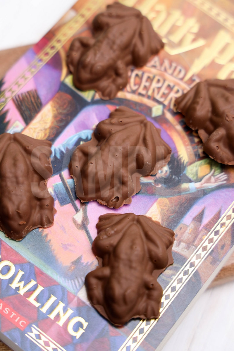 Harry Potter Chocolate Frogs - Set 1 - Image 4