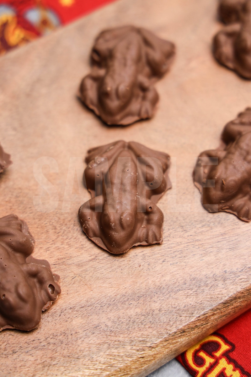 Harry Potter Chocolate Frogs - Set 2